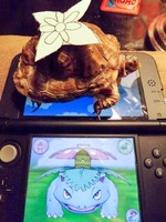 0
