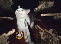 0