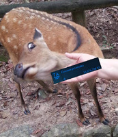 0