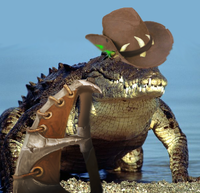 0
