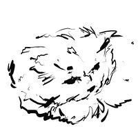 0
